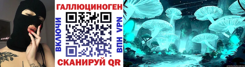 купить   Коммунар  Галлюциногенные грибы Psilocybe 